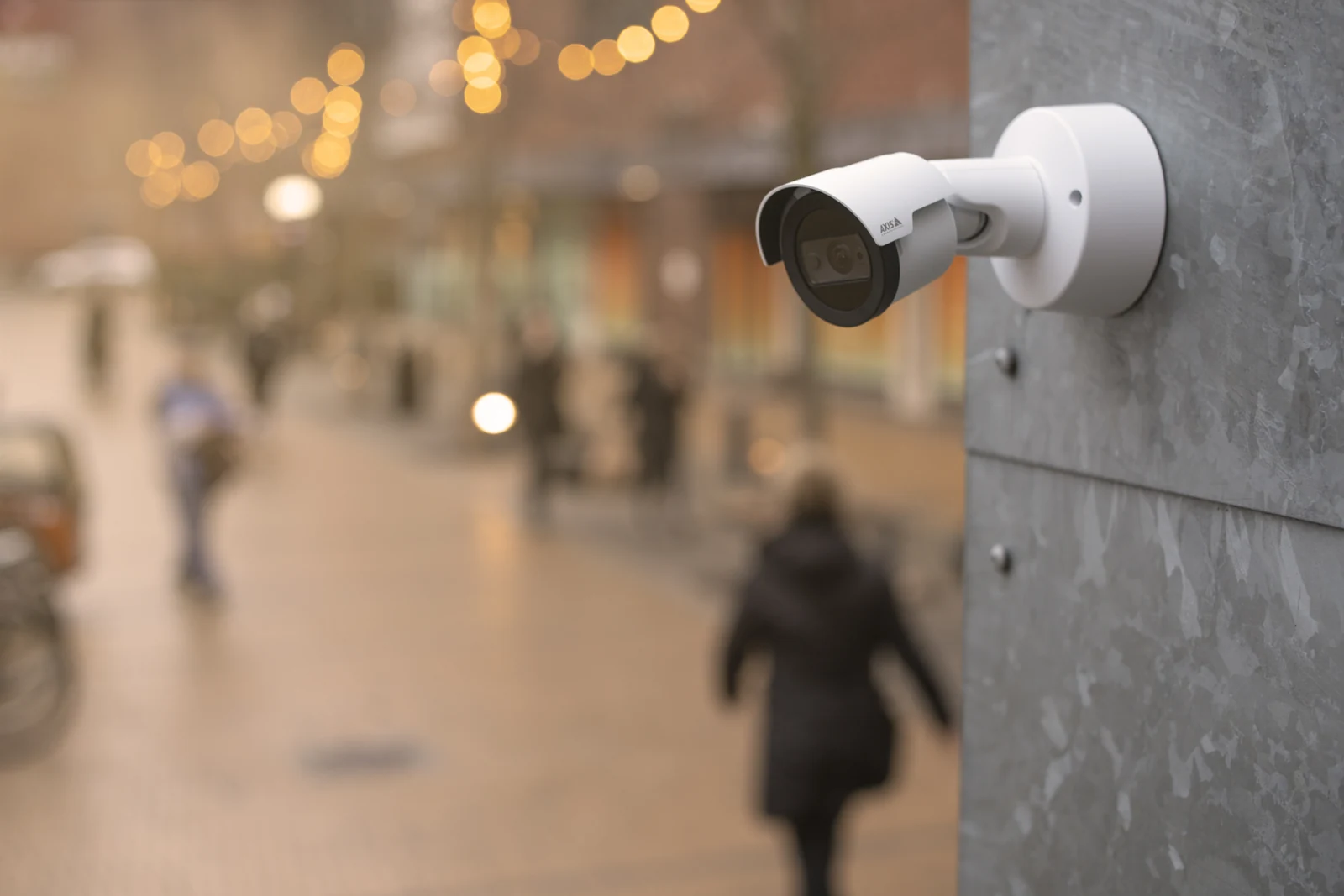 Home security detail