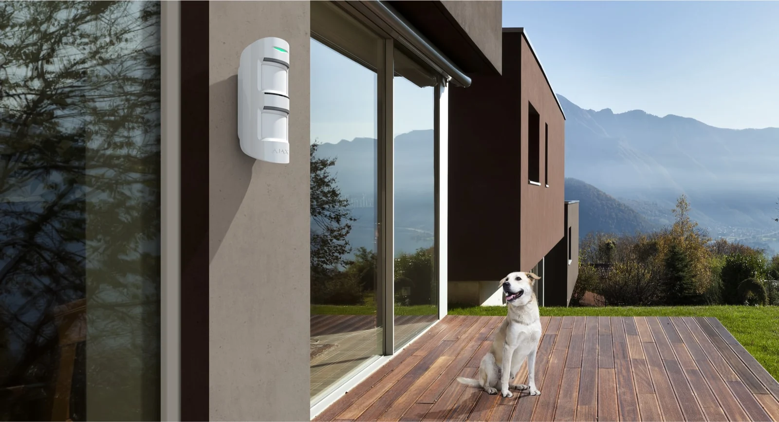 Home security detail