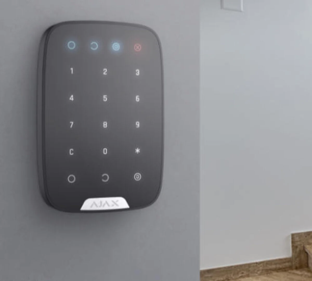 Home security detail